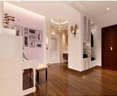 危貨車和特種車型系列