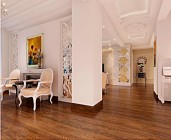 危貨車和特種車型系列