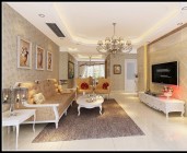 危貨車和特種車型系列