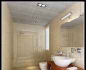 危貨車和特種車型系列