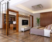 危貨車和特種車型系列