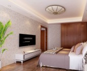 危貨車和特種車型系列