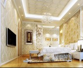 危貨車和特種車型系列