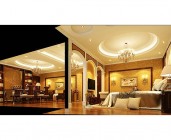 危貨車和特種車型系列