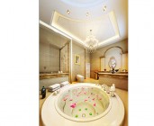 危貨車和特種車型系列