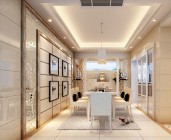 危貨車和特種車型系列