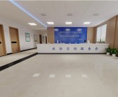 危貨車和特種車型系列